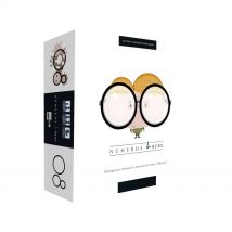 SD Games Juego de Mesa Números Locos PEGI 12 - Prueba Tu Memoria con Divertidas Imágenes