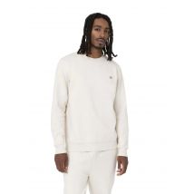 Dickies - Sudadera Oakport Whitecap Hombre