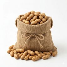 MANI  CACAHUETE Cacahuetes tostados sin sal:   cacahuetes tostados con cáscara ecológicos  (sacos de 3 kilos)