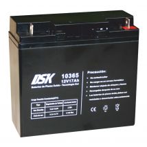 Bateria Plomo 12vdc 17ah Gel Vehiculos 181x76x167mm Dsk 10365