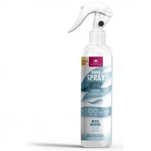 Spray Absorbe Olores #Brisa Marina 250 Ml