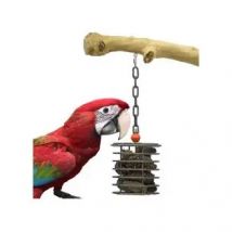 Sun Parrots Portapremios de Hierro Galvanizado para Loros Grandes - Robusto y Duradero