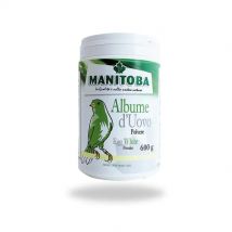 Albumina de Huevo MANITOBA 600 GR - Rico en Proteínas