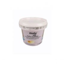 Moly Goldfish – Alimento Granulado para Peces de Estanque y Agua Fría – Protege y Realza el Color Natural – Nutrición Equilibrada y Alta Digestibilidad 2 Unidades 150 gr 750 ml