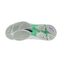 MIZUNO WAVE VOLTAGE