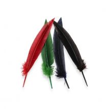 PLUMA DE PAVO 32CM Raíz Productos de Google Shopping Inicio PLUMAS PLUMAS INDIVIDUALES NOVEDADES