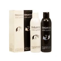 SALERM COLOR REVERSE KIT 1-2 DESPIGMENTANTE COLOR 200 + 200 ML