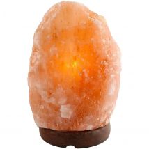 PLUSHOME Lámparas de Sal del Himalaya Naturales con Enchufe Europeo, disponibles también en Versiones Multicolor USB