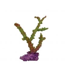 Corales de ICA - ICA  verde Acuariofilia 18,5x8x23cm