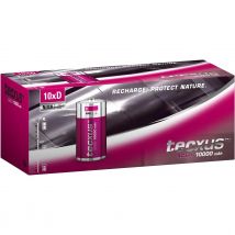 Tecxus Recargable D (Mono)/HR20 – 10000 mAh, 10 Unidades. En caja: batería de hidruro metálico de níquel (NiMH), 1,2 V (931945838).