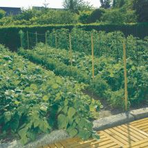 MALLA PARA ENTUTORAR TRELLINET VERDE NORTENE