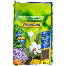 Flower Tierra Sustrato Profesional para Cactus y Bonsái - Mejora la Aireación y Absorción de Agua