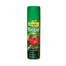 BRILLO PLANTA NATURAL 800cc flower