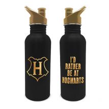 Cantimplora metálica Harry Potter 700ml