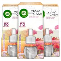 Air Wick Eléctrico - Ambientador para casa con aroma a Lirio de Luna - 3 recambios