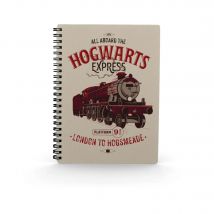 SD Toys Harry Potter – Cuaderno con efecto 3D All Aboard The Hogwarts Express