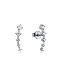 Pendientes de Viceroy Trepador con Circonitas en Plata de Ley  13005E000-30