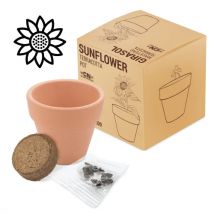 Disok Lote de 20 Macetas Terracota con Semillas PETUNIA - Regalos para Fiestas