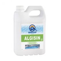 Quimicamp Algisin - Algicida No Espumante para Saneamiento de Agua en Piscinas, Spas, etc - 5 Litros