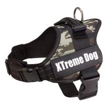 Arnés Xtreme Dog para Perros Pequeños y Grandes de Arquivet