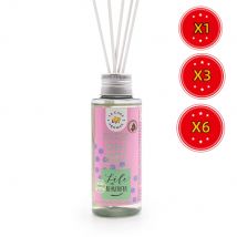 Mikado Aromaterapia Ambientador 100 Ml Citronela Algodón Almendro - Pack 6 Unidades
