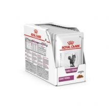 Royal Canin Gato Early Renal Salsa Sobres 12 x 85 gr