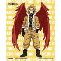 Pirámide Internacional MI HERO ACADEMIA - POSTER 3D HAWKS