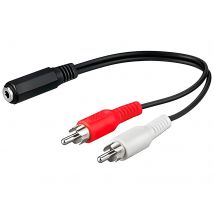 Generica Cable Audio Jack 3.5mm a 2 RCA Phono Macho Blanco y Rojo 25cm