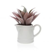 planta suculenta en maceta