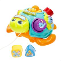 Winfun - Arrastre bebé forma tortuga con sonidos y melodías, idioma bilingüe en español e inglés, juego clasificación formas, enseña colores, números y animales, juguetes niños 1 año, regalos
