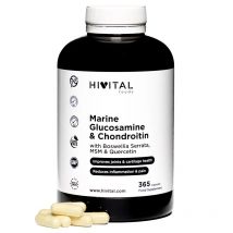 Glucosamina con Condroitina. 365 cápsulas (Tratamiento para 4 meses). Hivital
