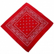 PLUSHOME Pañuelo Cowboy Vaquero Paisley Bandana Pañuelos Multifunción 54x54cm,Diseño Pañuelo Novedad Estampado para la cabeza cualquier parte de cuerpo para unisex-talla unica para adultos o niños.