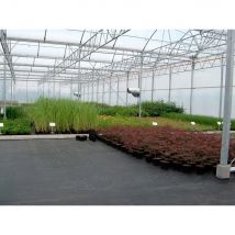 malla anti-hierba negra 2x10m. fun&go