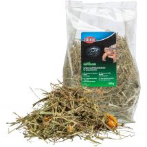 Trixie Pastos y Hierbas del Campo para Tortugas de Tierra - 200 g