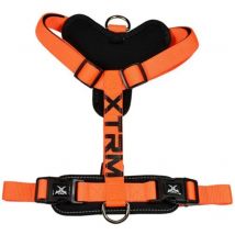 Arnes X-trm Cronos Neon para Perro, Color Naranja, Nayeco, DIferentes Tallas