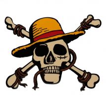 Medallón FaNaTtik Jolly Roger de edición limitada de una sola pieza