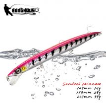 Hunthouse Schwimmender Minnow-Angelköder, 143 mm/14 g, 173 mm/23 g, 208 mm/33 g, langer Wurf, Meerwasser-Hartköder für Forellen-Seebarsch-Gerät