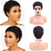 Short Afro Curly Synthetic Hair Wigs for Black Women Short Hairstyles Pixie Cut Wigs with Thin Hair Black Brown Blonde Hair Wigs