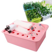 24-Loch-Hydrokultur-Set mit Sauerstoffpumpe, Innengarten-Schrankbox, Blase, Kindergartentöpfe, Anbaubox, 220 V/110 V, 1 Set