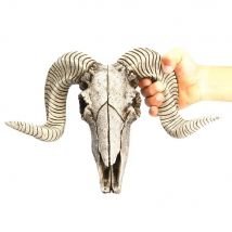 Harz Skeleton Ram Schafe Kopf Schädel Kopf Wand Hängen 3D Tier Longhorn Skulptur Figuren Handwerk Hörner Wohnkultur Ornamente