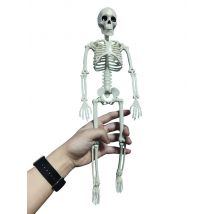 Car decoration spoof Active Human skeleton Model Anatomy Skeleton Skeleton Medical Learning Halloween Party Decoration Skeleton