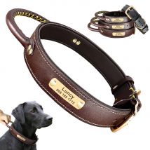 Leder-Hundehalsband, personalisiertes ID-Tag-Halsband für mittelgroße und große Hunde, Haustier-Walking-Training, schnelle Kontrolle, Halskette mit Griff