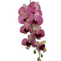 Eine Latex-Schmetterlings-Orchideenblüten, 9 Köpfe, fühlt sich echt an, gute Qualität, künstliche Phalaenopsis-Orchidee, 101,6 cm, für die Blumendekoration zu Hause