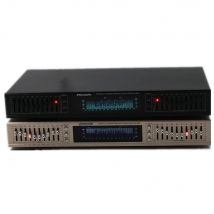 EQ-665 Home Audio Equalizer HiFi EQ Ausgewogene Mischer Doppel 10 Segment Stereo Höhen Alto Bass Regelung Tuner