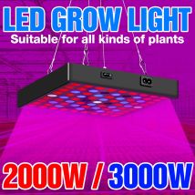 Indoor Grow Light LED 220V Bulb Plant Lamp Full Spectrum Phyto Lamp Waterproof LED Greenhouse Hydroponics Phytolamp 2000W 3000W