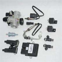 ECU fuel injection oxygen senor nozzle valve FAI EFI for yongyuan jonway YY350 DD350 350cc motorcycle accessories