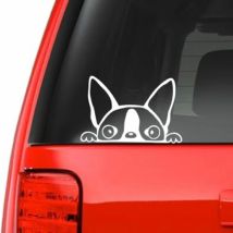 Peeking Boston Terrier (A14) Vinyl Decal  Car Sticker Windows Wall Decor Kids Room Decoration  Many Colours