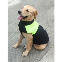 S-7XL Pet Coat Jacket with Buckle for Small Large Dogs Winter Warm Big Dog Clothes Golden Retriever Bulldog mascotas Clothing