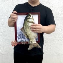 Fisch Rahmen Zaubertricks Magier Bühne Partei Gimmick Requisiten Illusion Mentalismus Lustige Plüsch