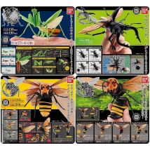 Bandai Genuine Gashapon Toys Wasp Stag Beetle Mantis Insect Simulation Model Assembled Action Figure Ornament Toys
